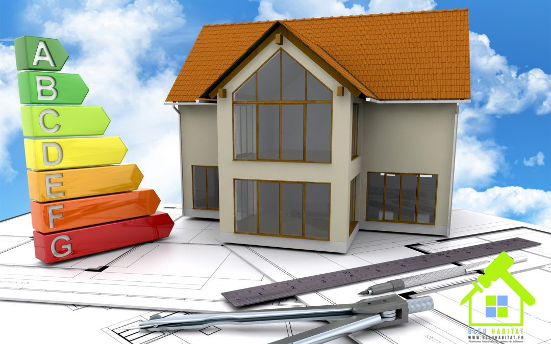 Coaching personnalisé